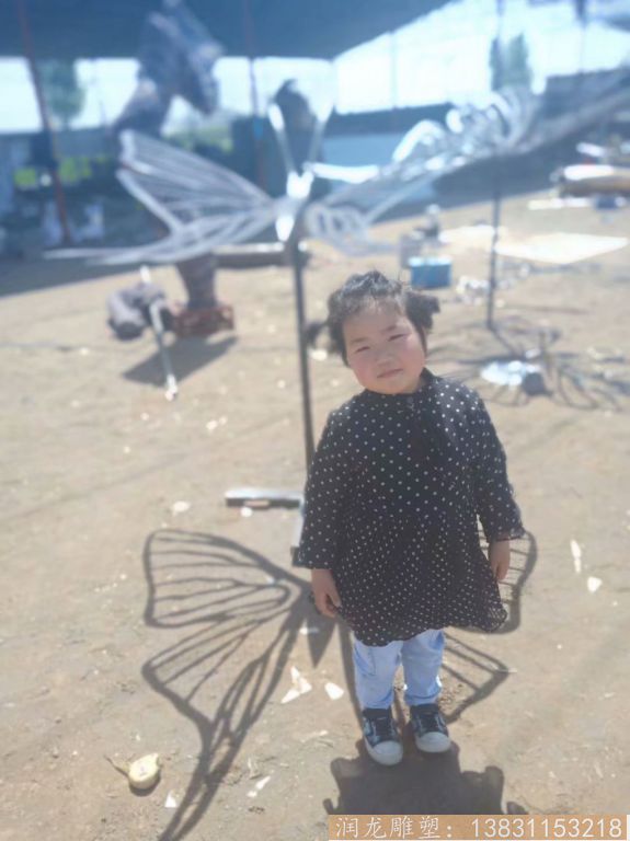 不銹鋼蝴蝶雕塑，花園蝴蝶雕塑4